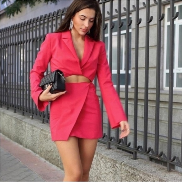 Zara Blogger Favorite Pink Cut-Out Dress - Picture 2 of 16
